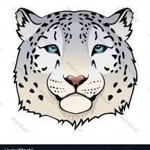 Fundraising Page: Snow Leopards
